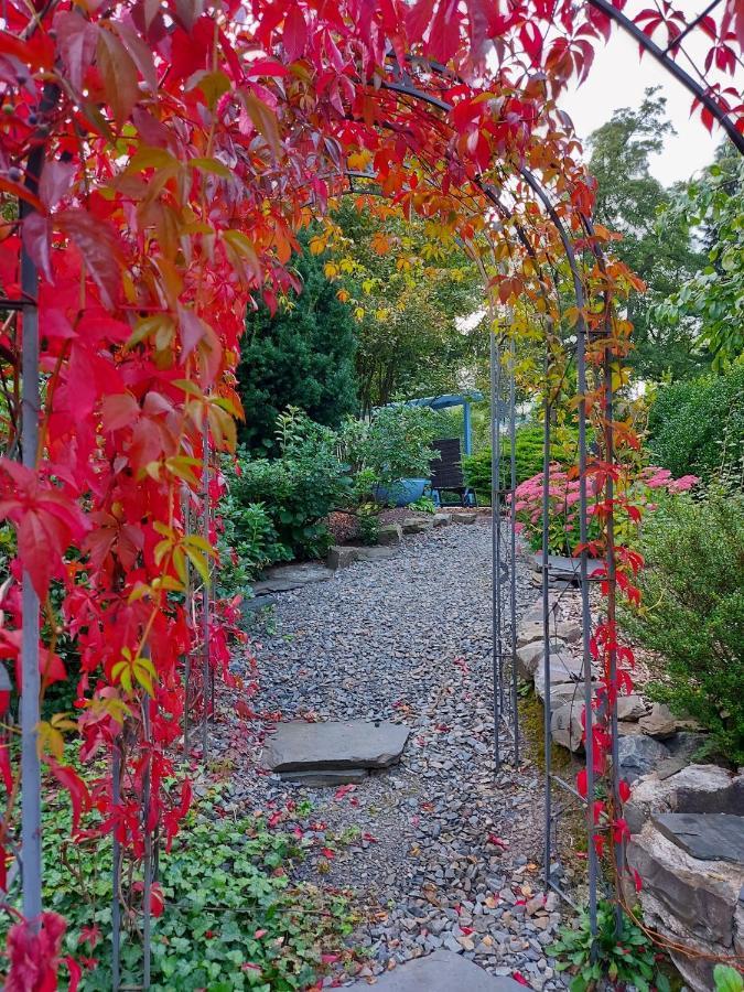 Maries Bunte Villa Bad Berleburg Buitenkant foto
