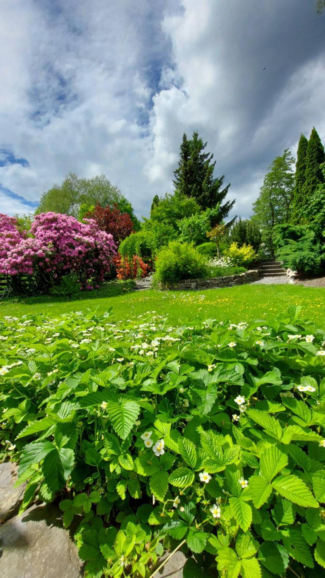 Maries Bunte Villa Bad Berleburg Buitenkant foto