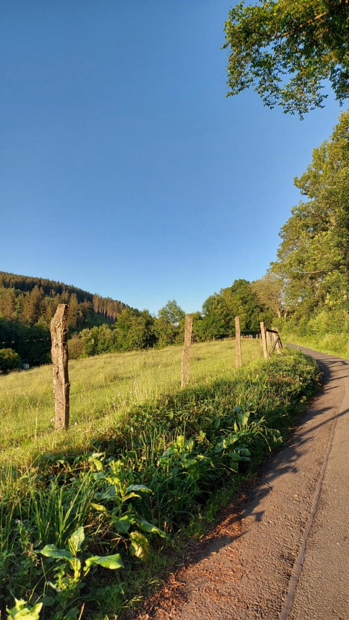 Maries Bunte Villa Bad Berleburg Buitenkant foto